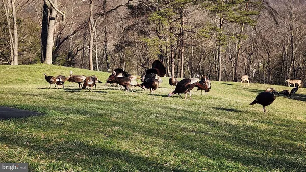 $875,000 | 887 Weires Avenue, La Vale, MD 21502