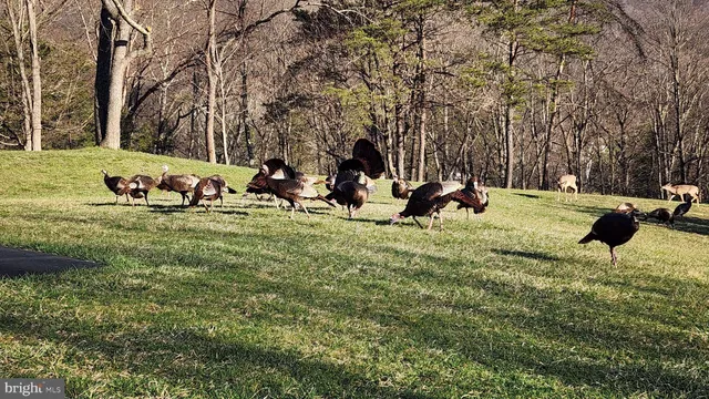 $875,000 | 887 Weires Avenue, La Vale, MD 21502