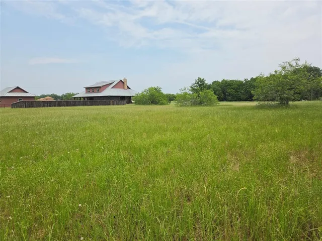 a view of a lush green forest