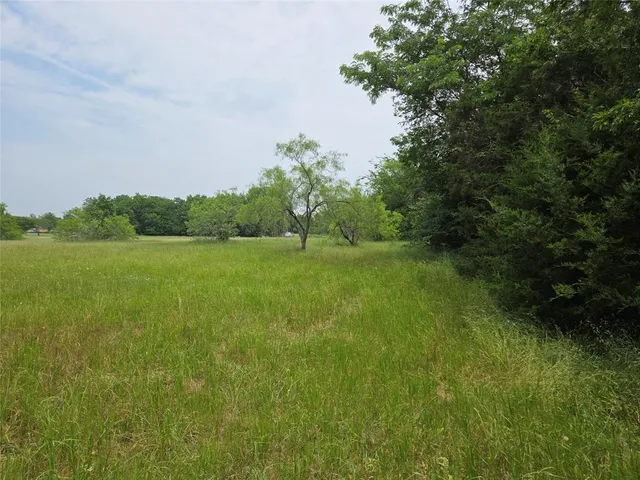 a view of a lush green space
