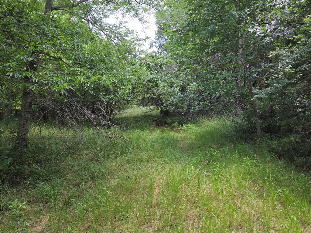 Lot 182-bs Lot 182-bs Cove Corsicana, TX 75109 - Photo 14 of 38 a view of a lush green space