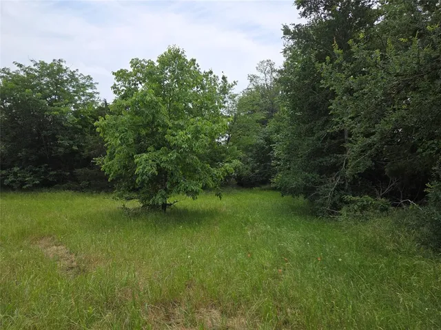 a view of a field with trees in the background