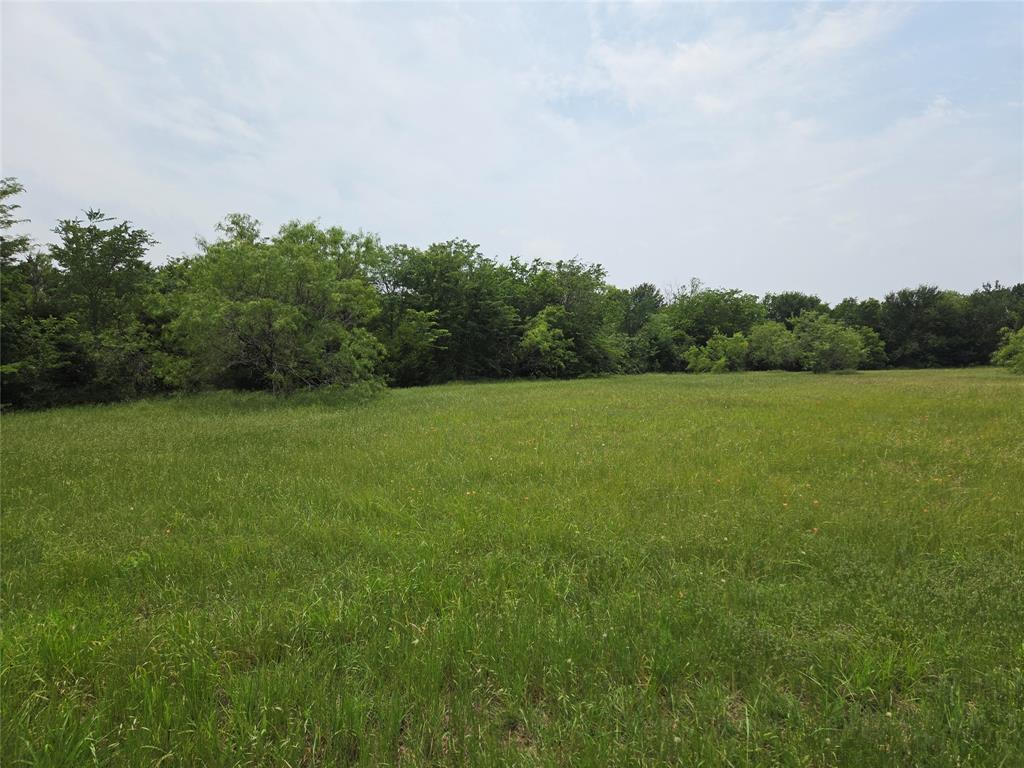 Lot 182-bs Lot 182-bs Cove Corsicana, TX 75109 - Photo 16 of 38 a view of a field with trees in the background