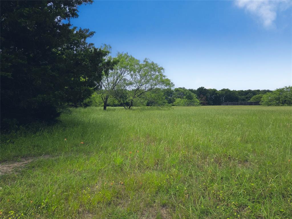 Lot 182-bs Lot 182-bs Cove Corsicana, TX 75109 - Photo 17 of 38 a view of a grassy field with trees