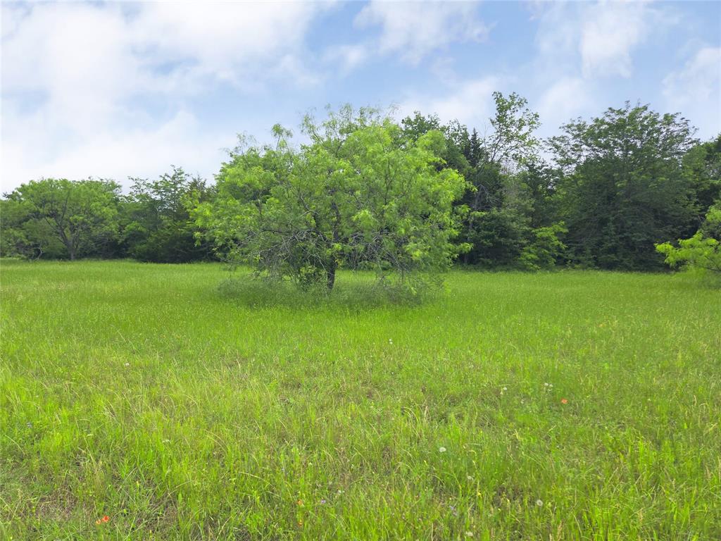 Lot 182-bs Lot 182-bs Cove Corsicana, TX 75109 - Photo 19 of 38 a view of a green yard