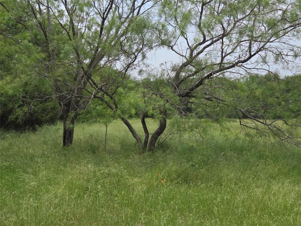 Lot 182-bs Lot 182-bs Cove Corsicana, TX 75109 - Photo 22 of 38 a big yard with lots of green space and plants