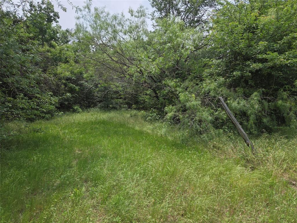 Lot 182-bs Lot 182-bs Cove Corsicana, TX 75109 - Photo 27 of 38 a view of a lush green forest