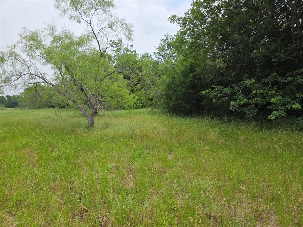 Lot 182-bs Lot 182-bs Cove Corsicana, TX 75109 - Photo 28 of 38 a view of a lush green space