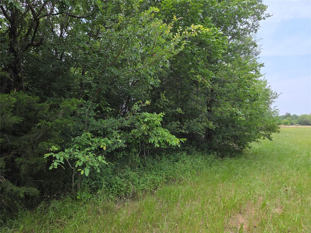 Lot 182-bs Lot 182-bs Cove Corsicana, TX 75109 - Photo 30 of 38 a view of a lush green space