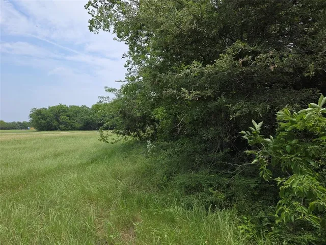 a view of a lake from a yard