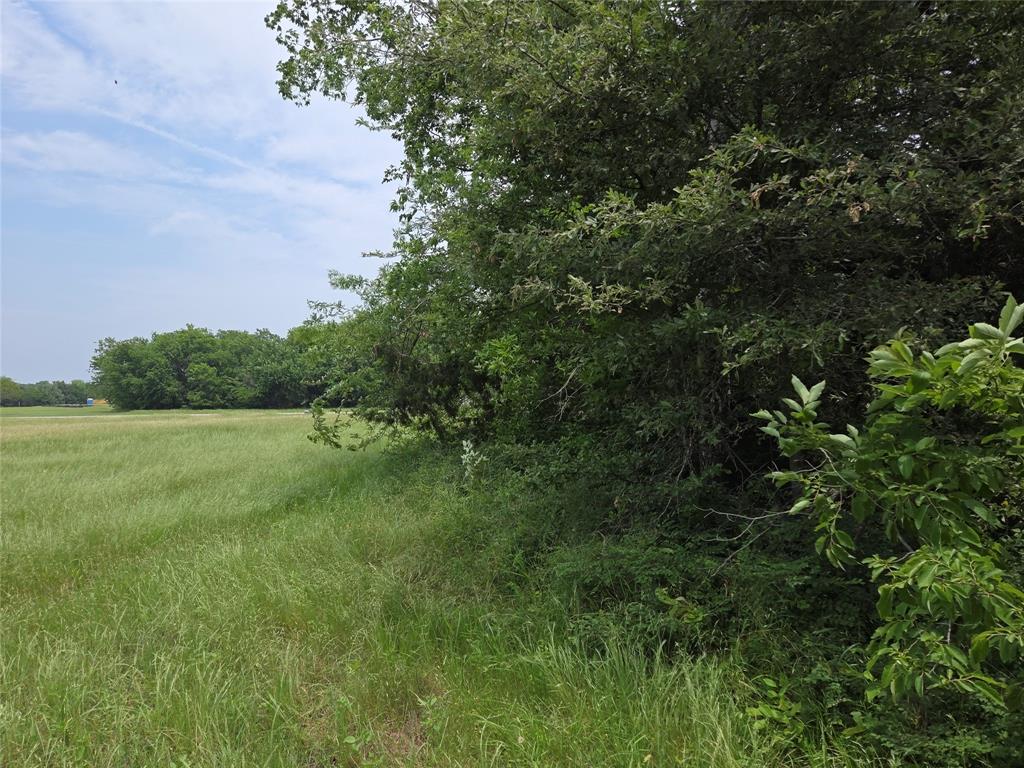 Lot 182-bs Lot 182-bs Cove Corsicana, TX 75109 - Photo 31 of 38 a view of a lush green space