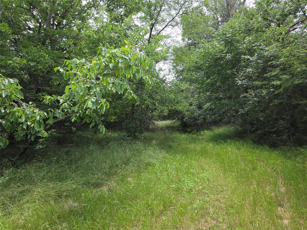 Lot 182-bs Lot 182-bs Cove Corsicana, TX 75109 - Photo 32 of 38 a view of a lush green space