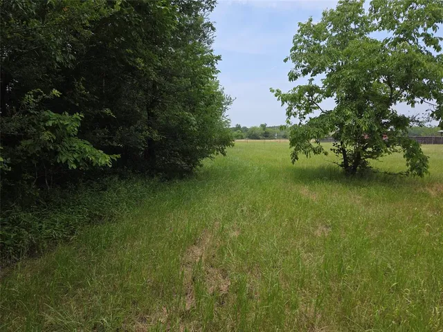 a view of a green field with clear sky