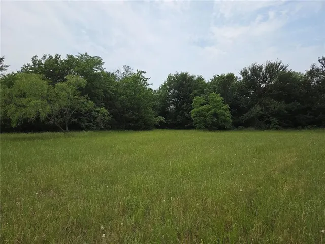 a view of a green yard with large trees
