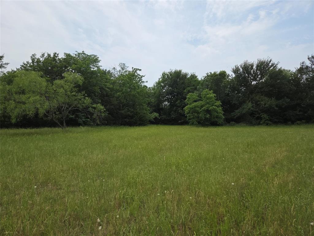Lot 182-bs Lot 182-bs Cove Corsicana, TX 75109 - Photo 34 of 38 a view of yard with green space