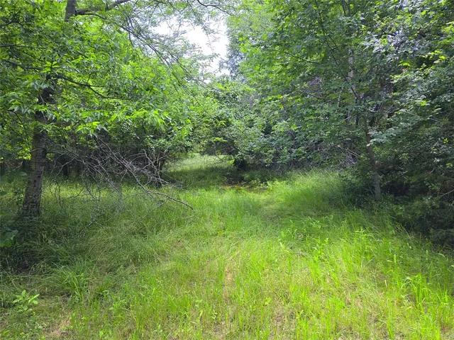 a view of a green yard
