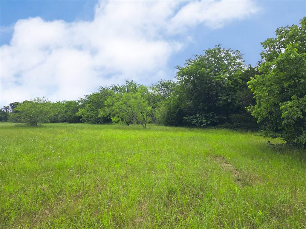 Lot 182-bs Lot 182-bs Cove Corsicana, TX 75109 - Photo 38 of 38 a view of a green yard