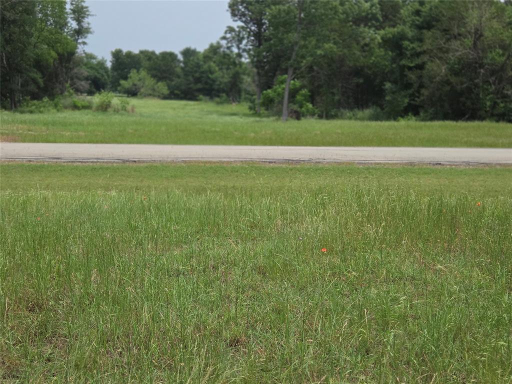 Lot 182-bs Lot 182-bs Cove Corsicana, TX 75109 - Photo 4 of 38 a view of a green field with clear sky