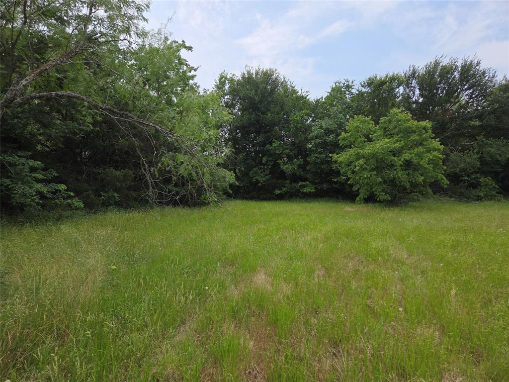 Lot 182-bs Lot 182-bs Cove Corsicana, TX 75109 - Photo 5 of 38 a view of a green yard