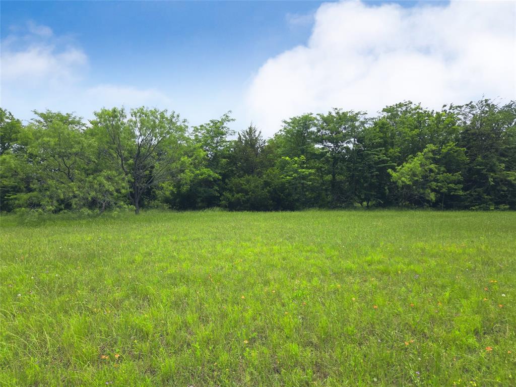 Lot 182-bs Lot 182-bs Cove Corsicana, TX 75109 - Photo 6 of 38 a backyard of a house with lots of green space