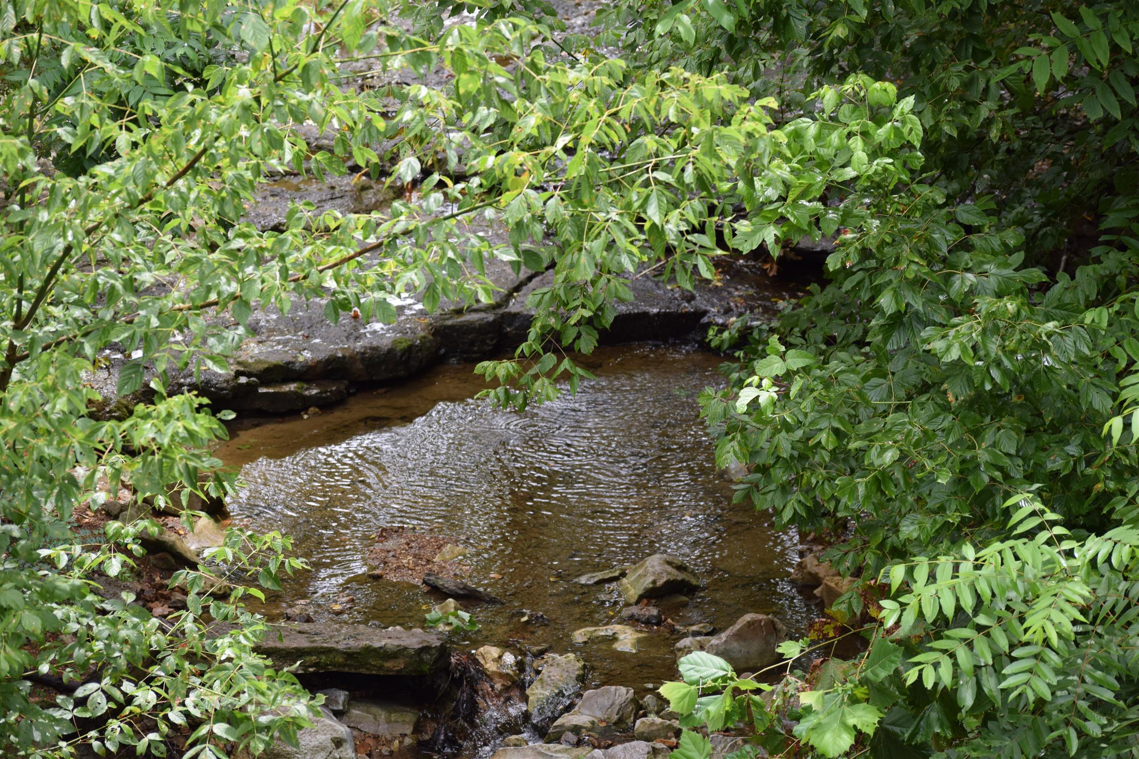 6947 Old Mill Road Baxter, TN 38544 - Photo 8 of 25