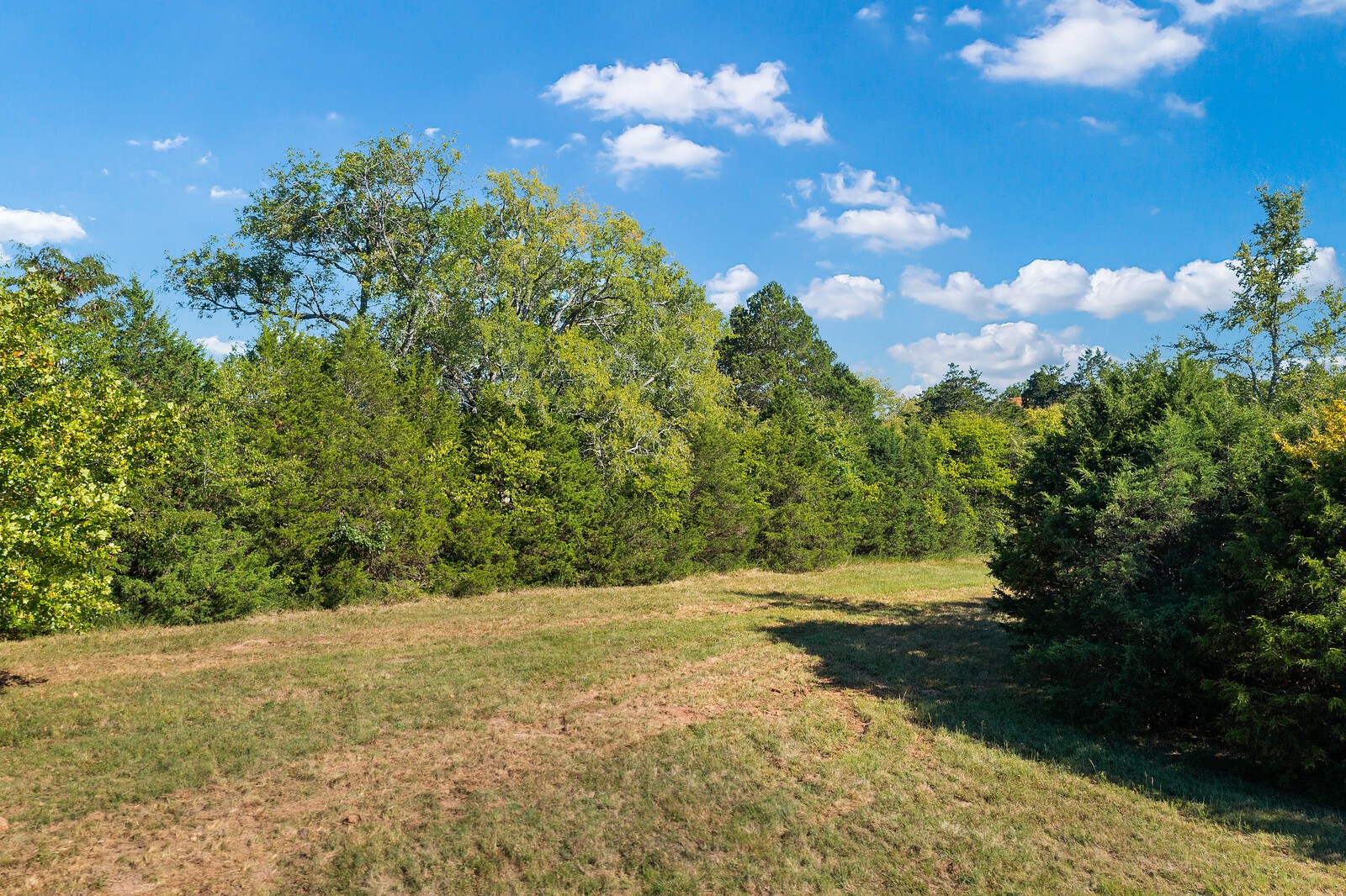 3646 Vesta Road Lebanon, TN 37090 - Photo 62 of 67 Gallery Image 62