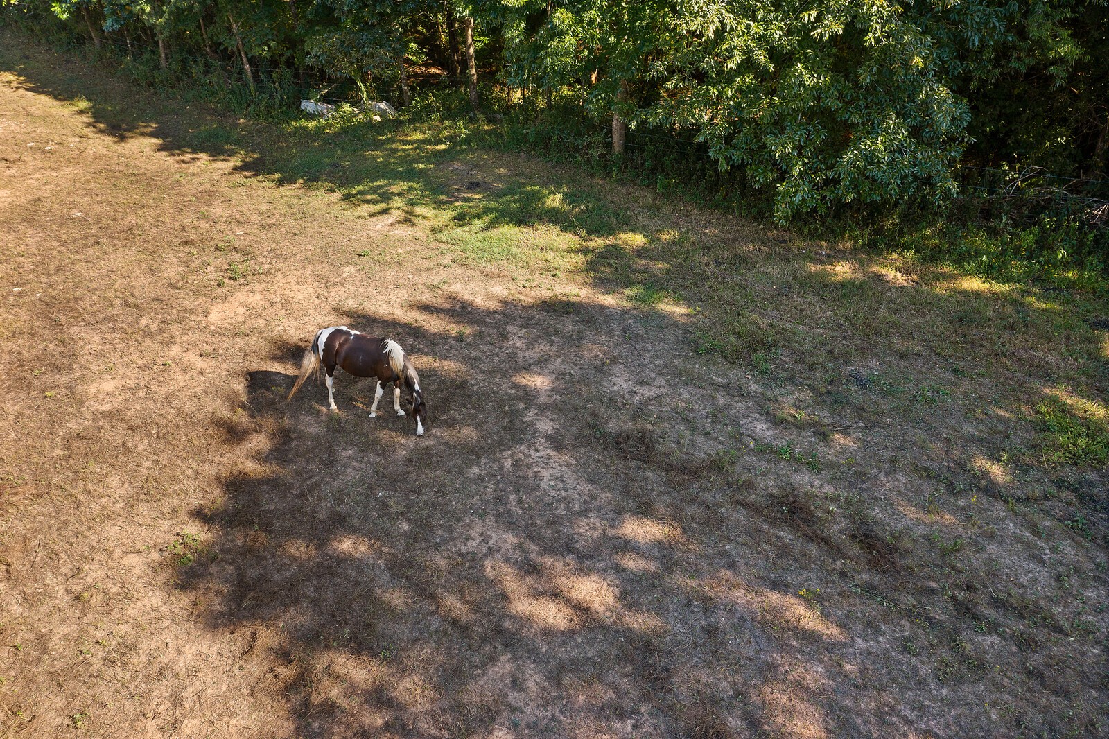 3646 Vesta Road Lebanon, TN 37090 - Photo 66 of 67 Gallery Image 66