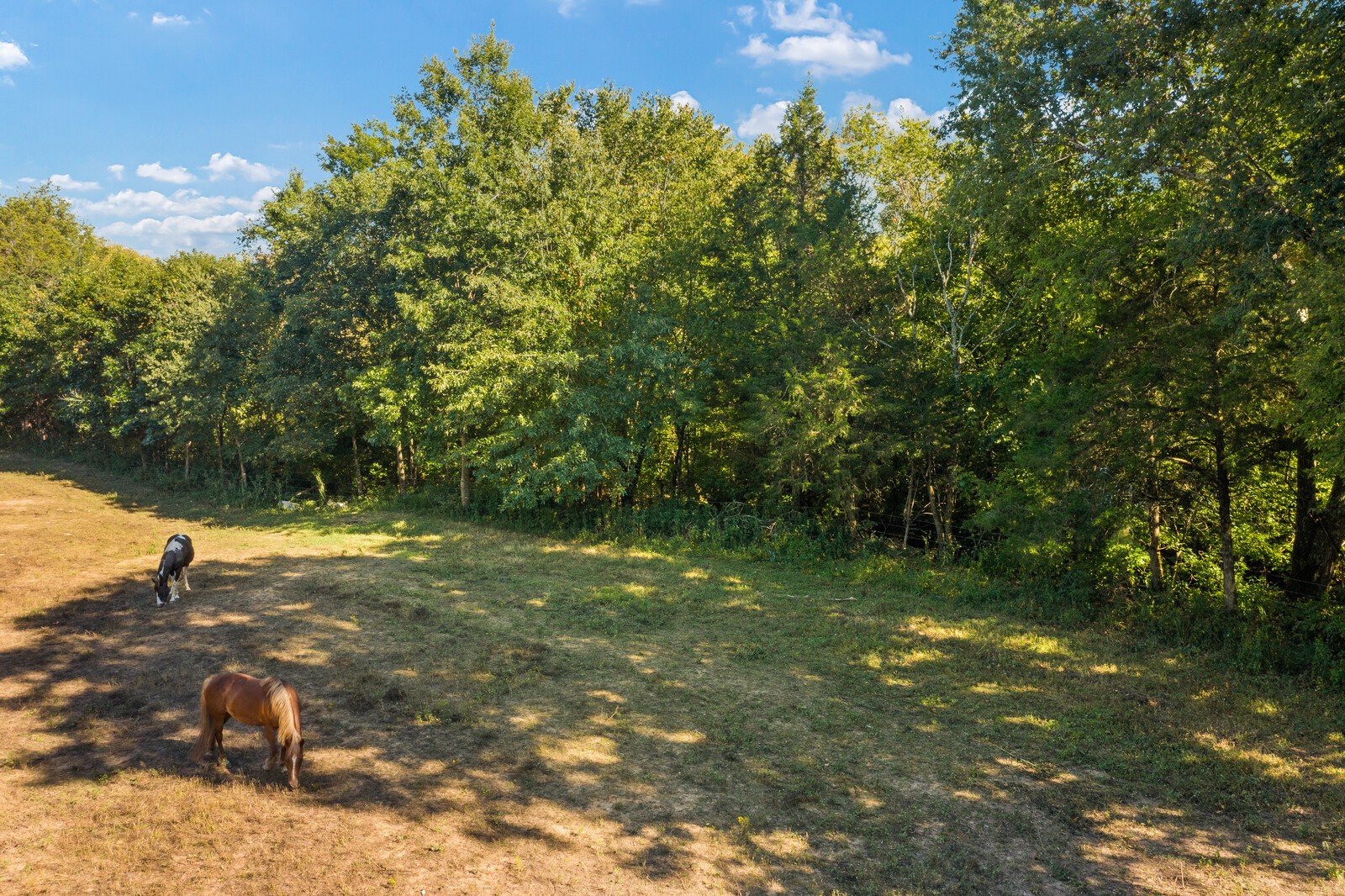 3646 Vesta Road Lebanon, TN 37090 - Photo 67 of 67 Gallery Image 67