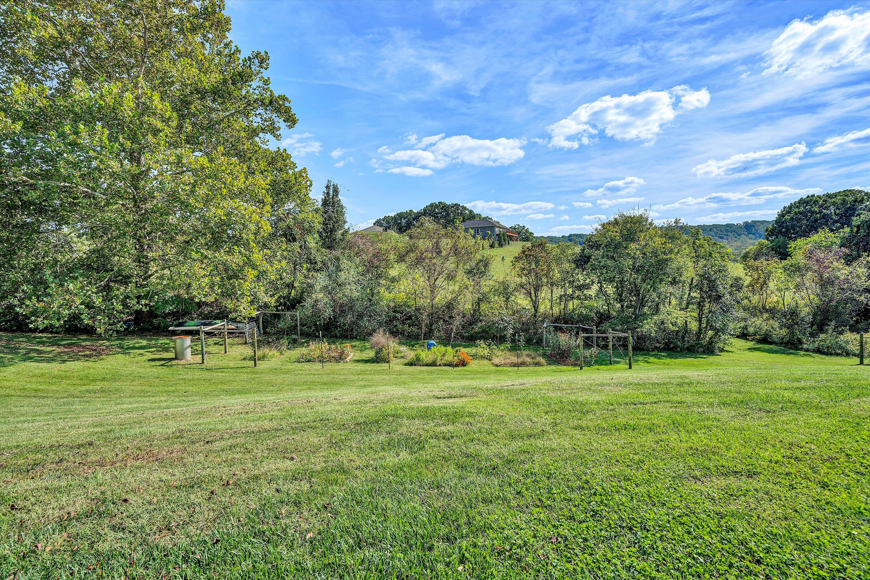 84 Green Level Road Boones Mill, VA 24065 - Photo 40 of 56 a view of a grassy field with an trees