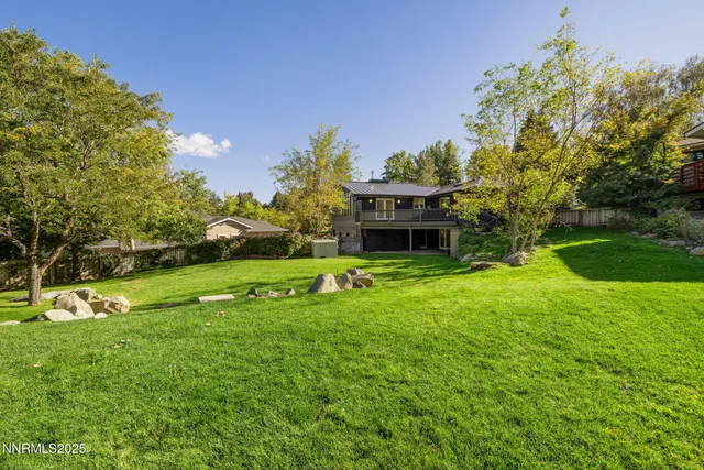 a view of a big yard with plants and large trees