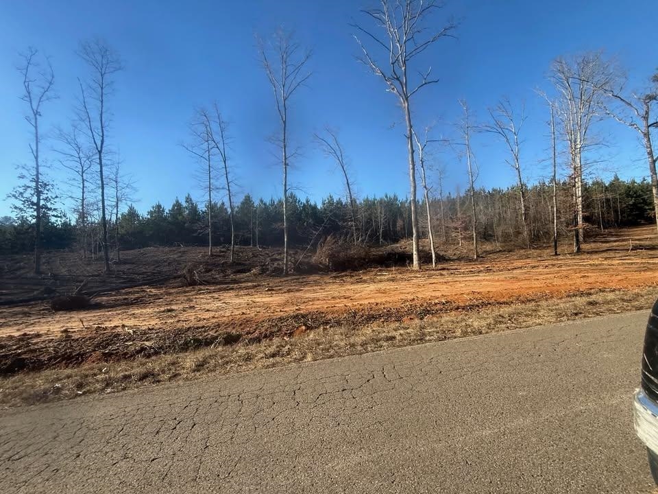 2 Bruton Branch Road Savannah, TN 38372 - Photo 2 of 10 View of asphalt road