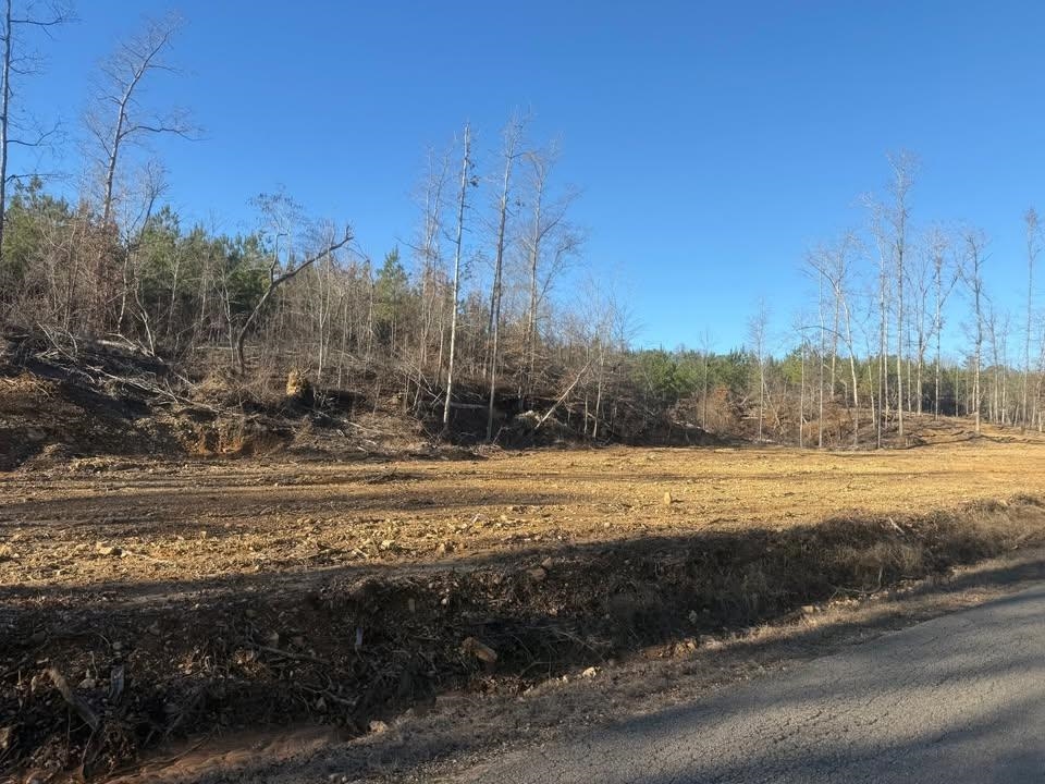 2 Bruton Branch Road Savannah, TN 38372 - Photo 3 of 10 View of asphalt road