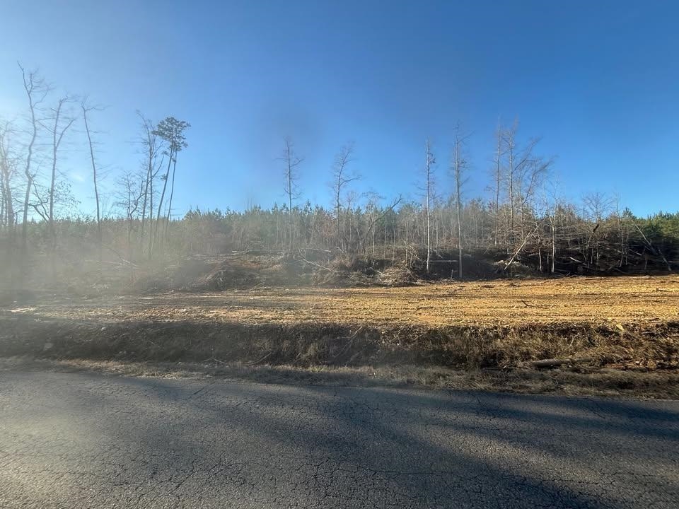 2 Bruton Branch Road Savannah, TN 38372 - Photo 4 of 10 View of asphalt street