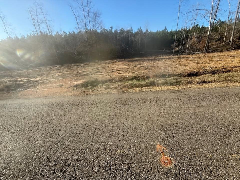 2 Bruton Branch Road Savannah, TN 38372 - Photo 5 of 10 View of asphalt street