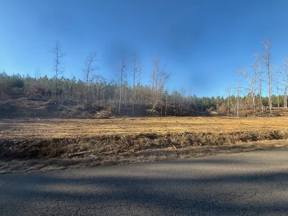 2 Bruton Branch Road Savannah, TN 38372 - Photo 6 of 10 View of yard