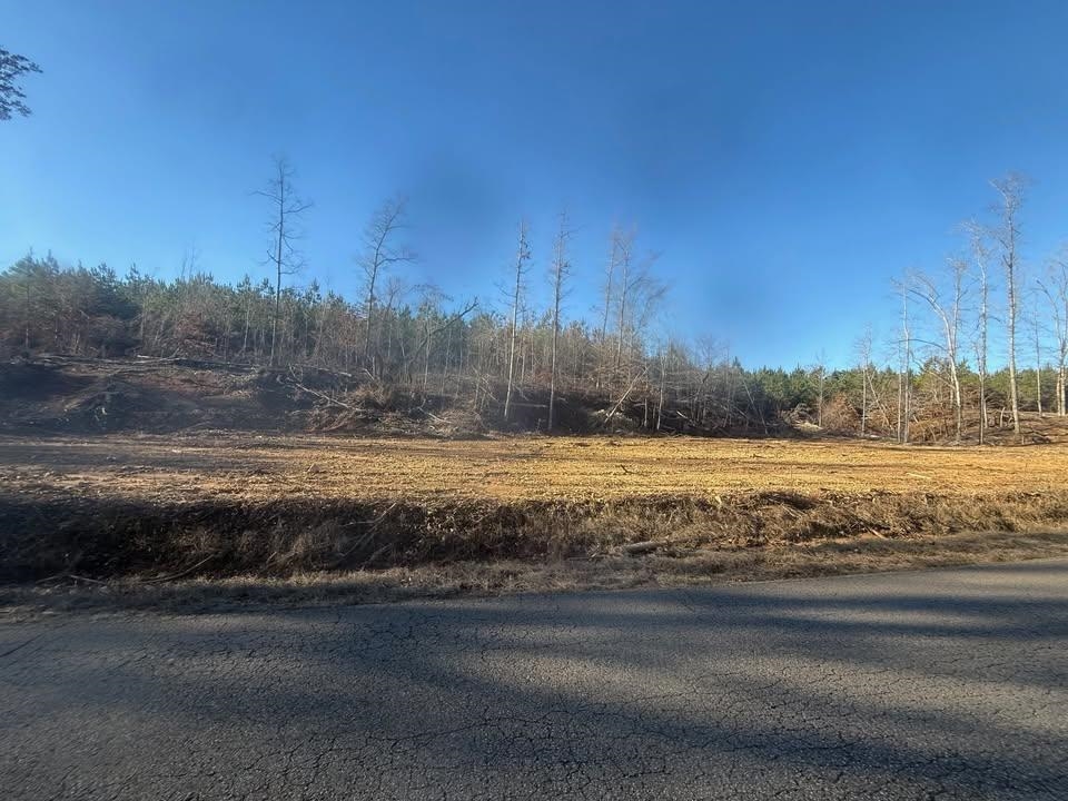 2 Bruton Branch Road Savannah, TN 38372 - Photo 8 of 10 View of asphalt street