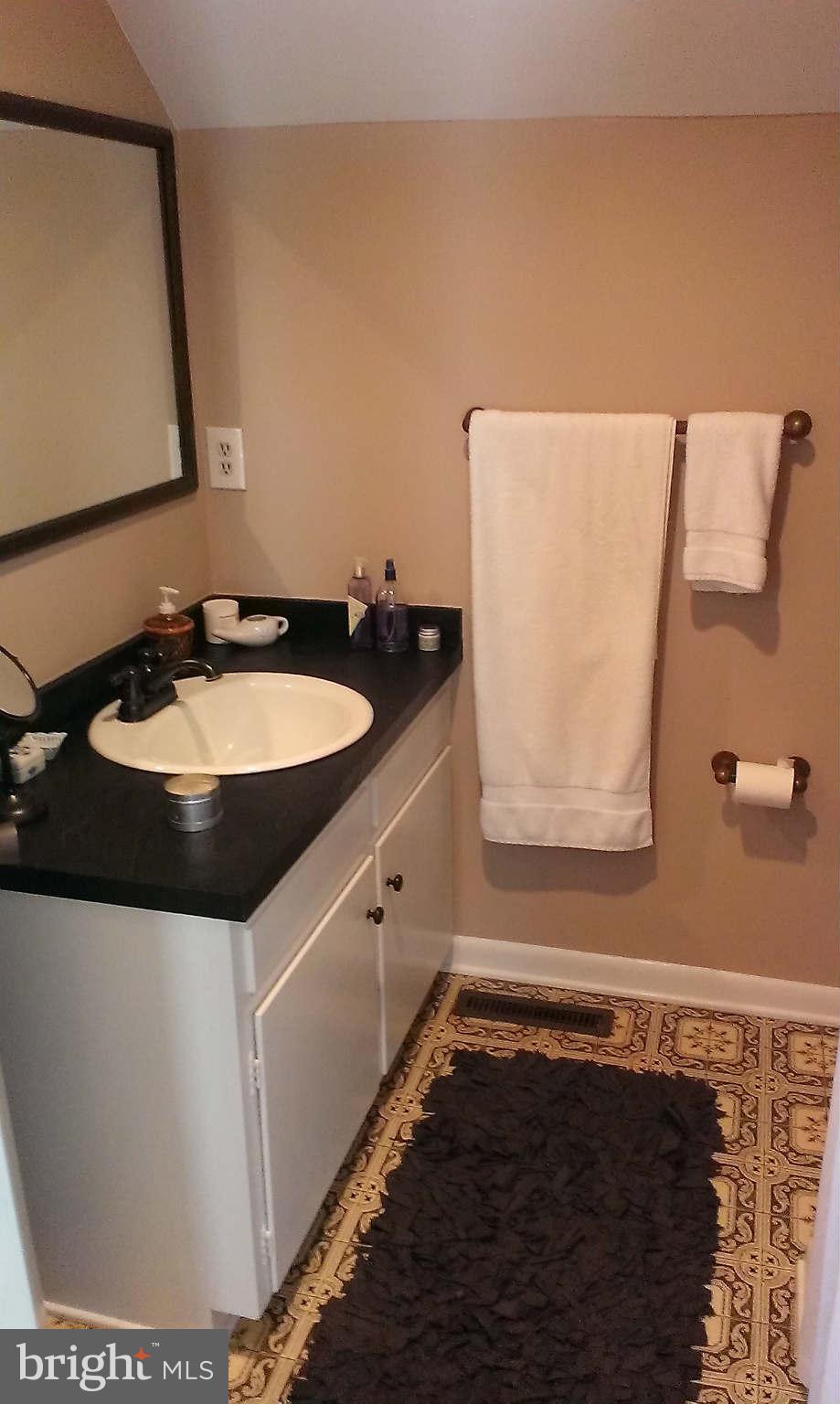 5679 Wilson Road Marshall, VA 20115 - Photo 12 of 18 Bath (Master)