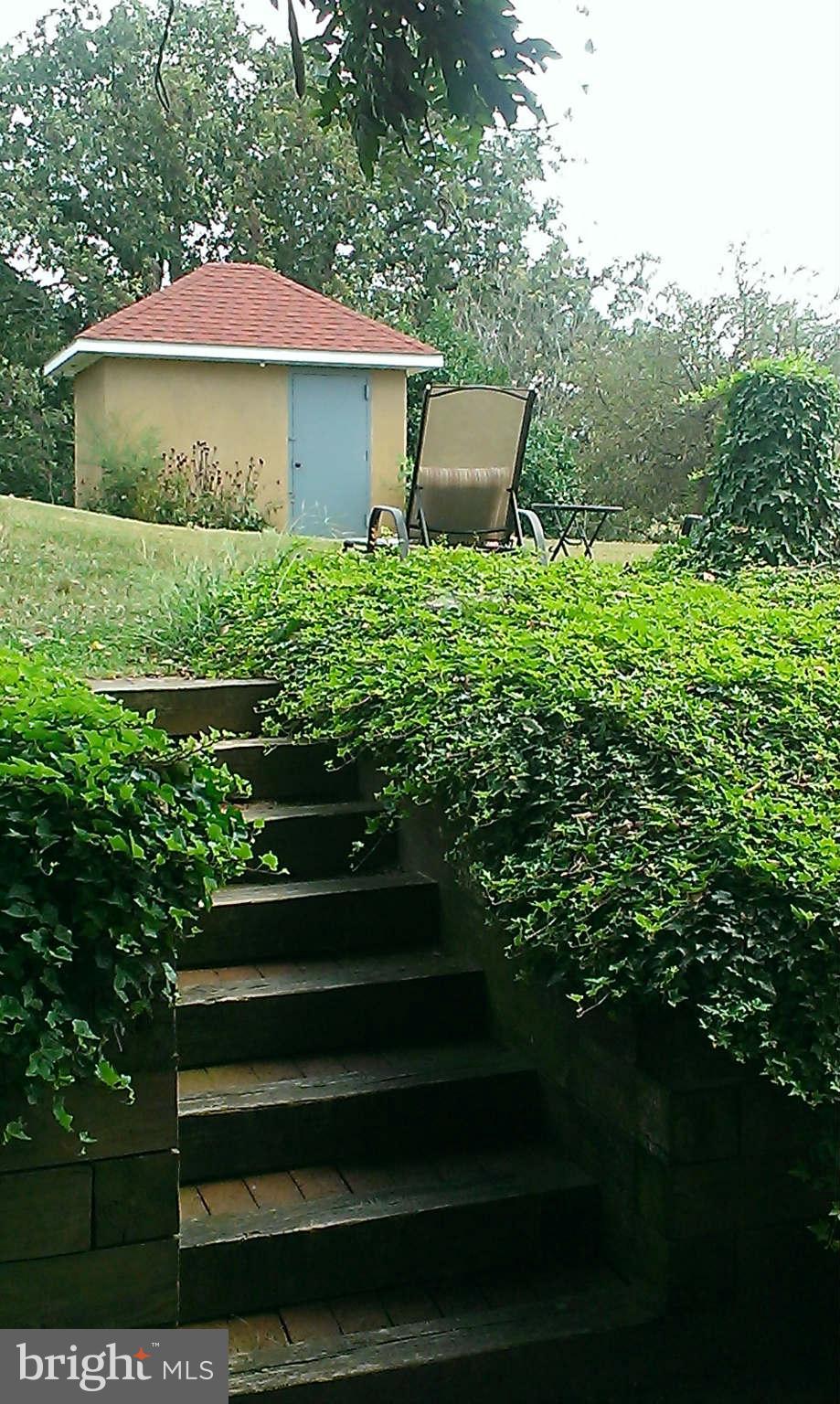 5679 Wilson Road Marshall, VA 20115 - Photo 17 of 18 Shed