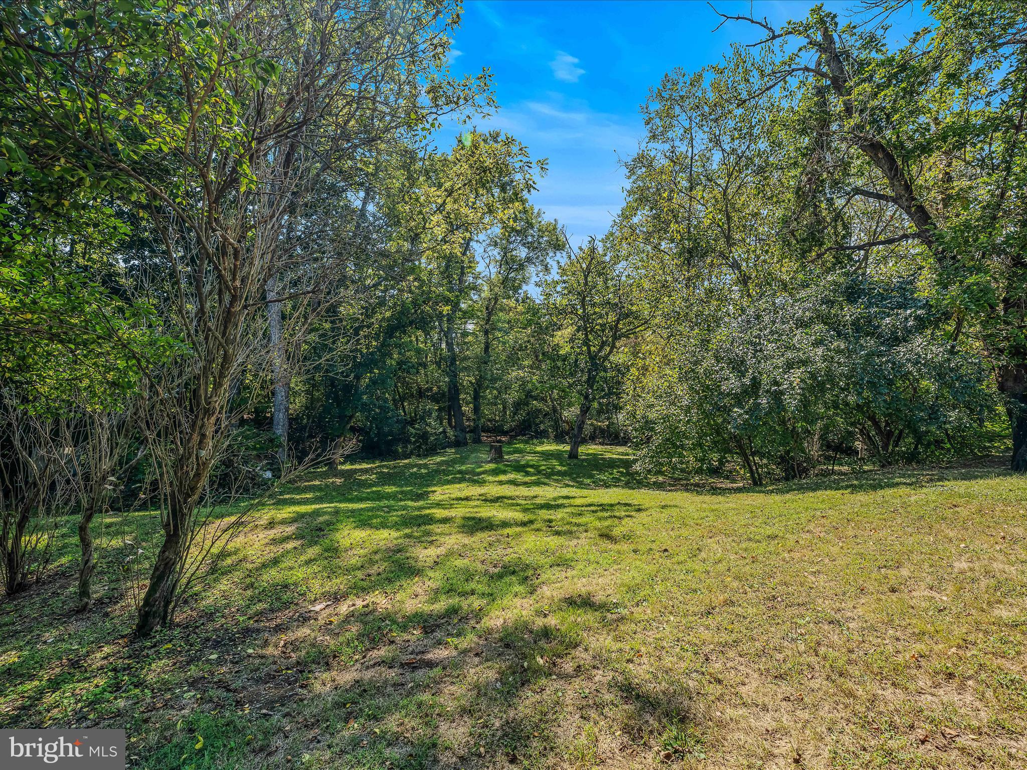 1646 Gerrardstown Road Gerrardstown, WV 25420 - Photo 19 of 37 a view of a field with trees in the background