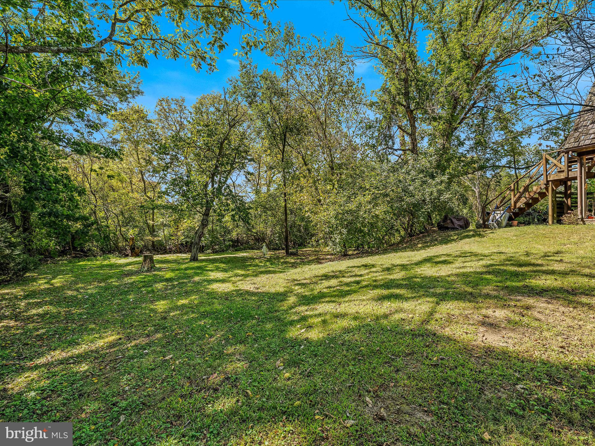 1646 Gerrardstown Road Gerrardstown, WV 25420 - Photo 21 of 37 a view of a field with trees