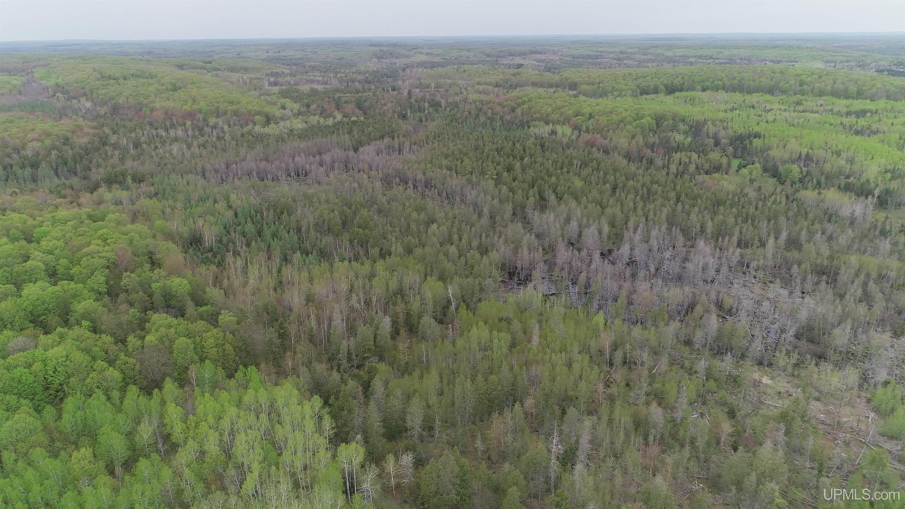 9 Rd Foster City Mi 49834 Road Felch, MI 49831 - Photo 11 of 32