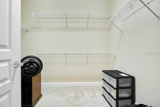 a close view of a shower in a bathroom