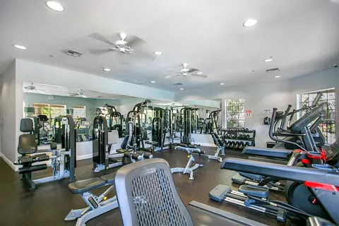 a living room with lots of gym equipment