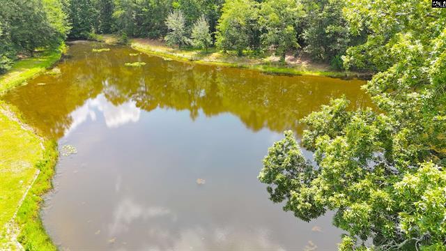5404 Fairview Road Leesville, SC 29070 - Photo 21 of 36