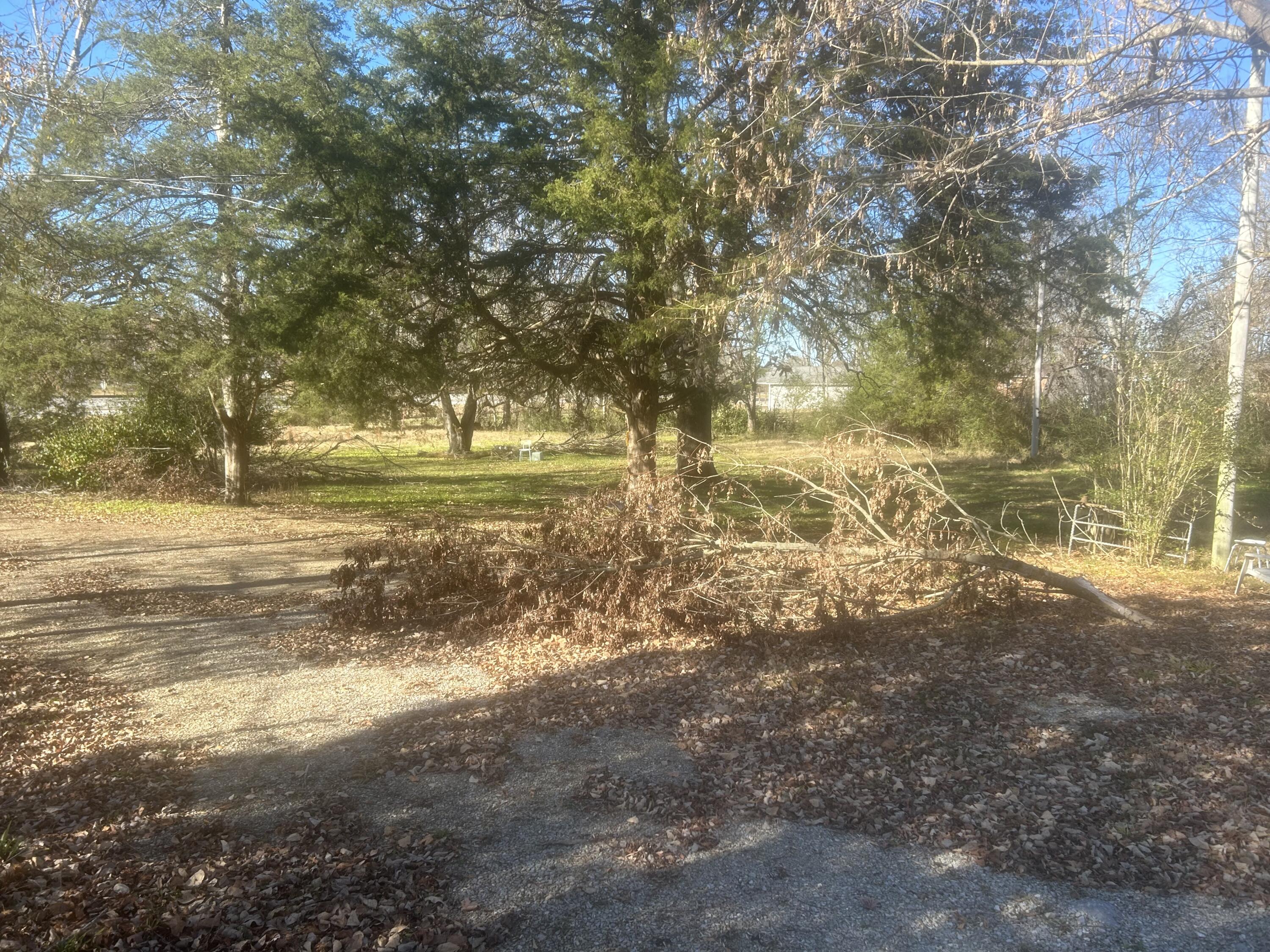 2119 Ooltewah Ringgold Road Ringgold, GA 30736 - Photo 8 of 11 IMG_4403