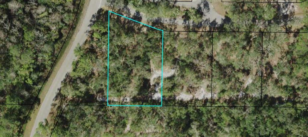 103 Scipio Landing Road Apalachicola, FL 32320 - Photo 1 of 14
