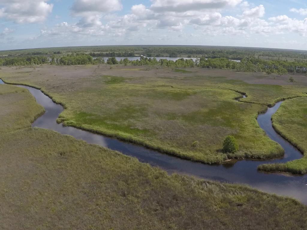 103 Scipio Landing Road Apalachicola, FL 32320 - Photo 11 of 14