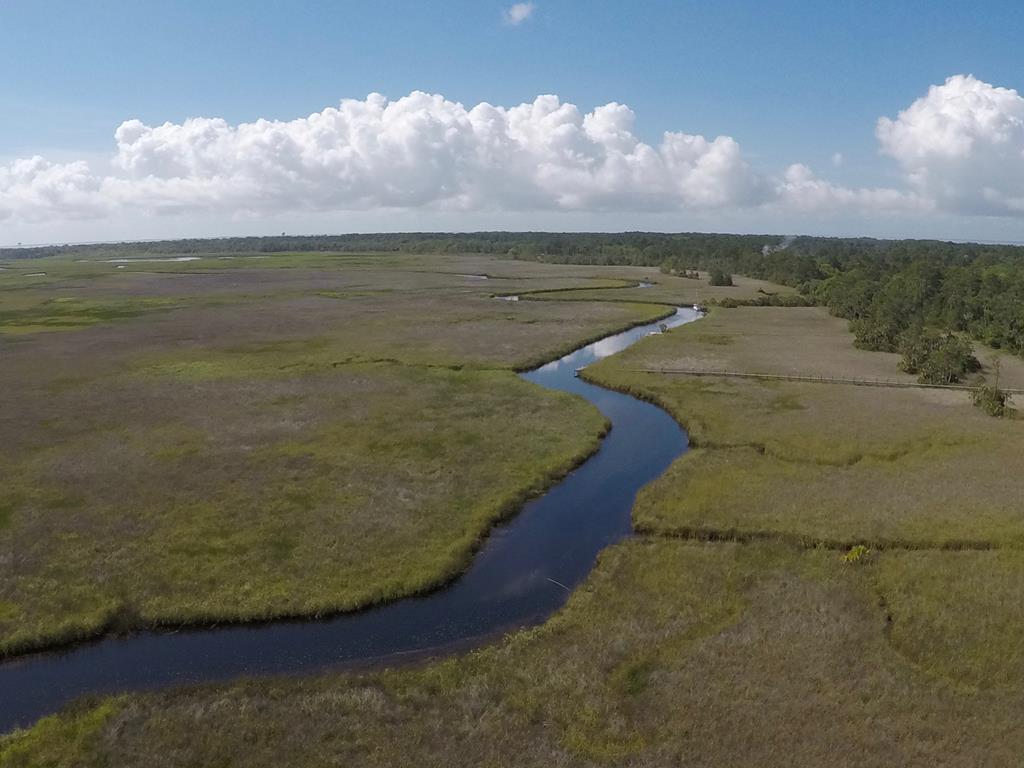103 Scipio Landing Road Apalachicola, FL 32320 - Photo 12 of 14