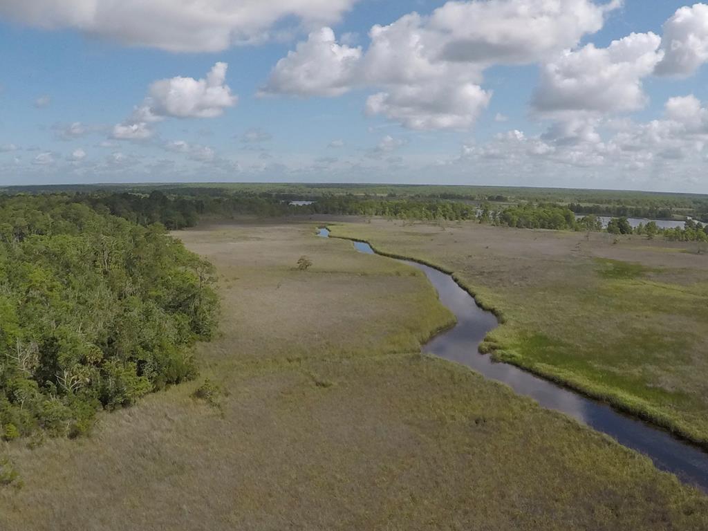 103 Scipio Landing Road Apalachicola, FL 32320 - Photo 13 of 14