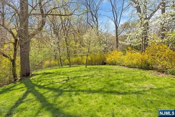 a view of a yard with trees